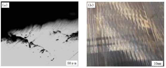 5df84fc98ed70.jpg 4.jpg